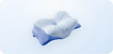 One Derila Ergo pillow